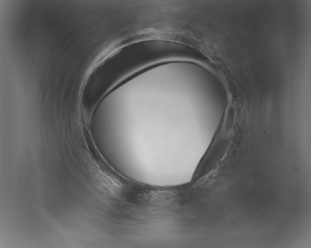 X0000060260150200511241437