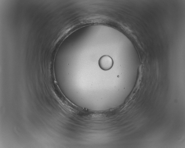 X0000060260154200511241437