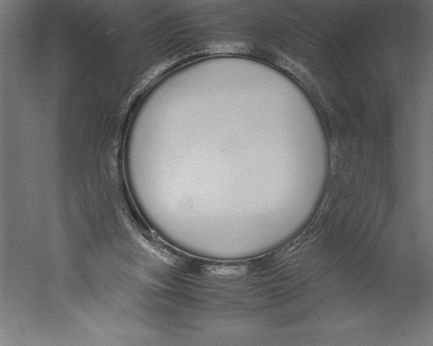 X0000060260155200511241437