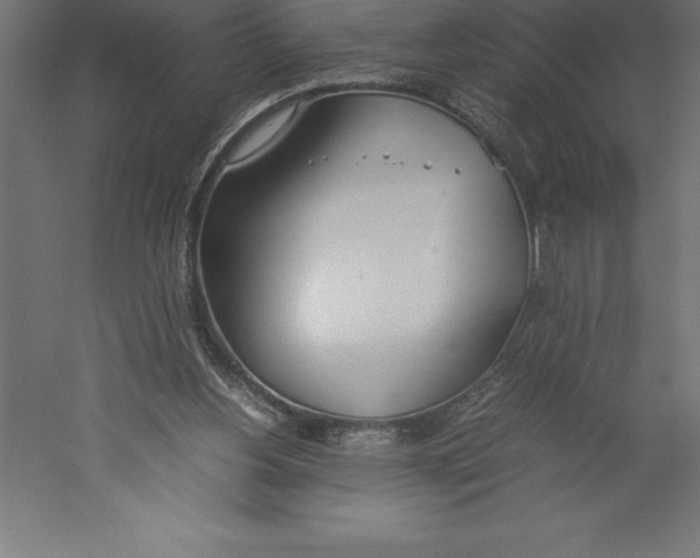 X0000060260156200511241437