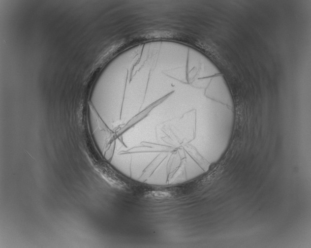 X0000060260159200511241437