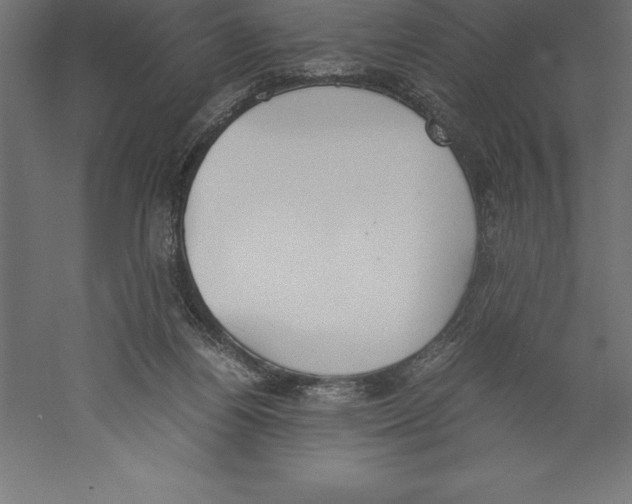 X0000060260164200511241437