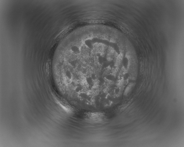 X0000060260165200511241437