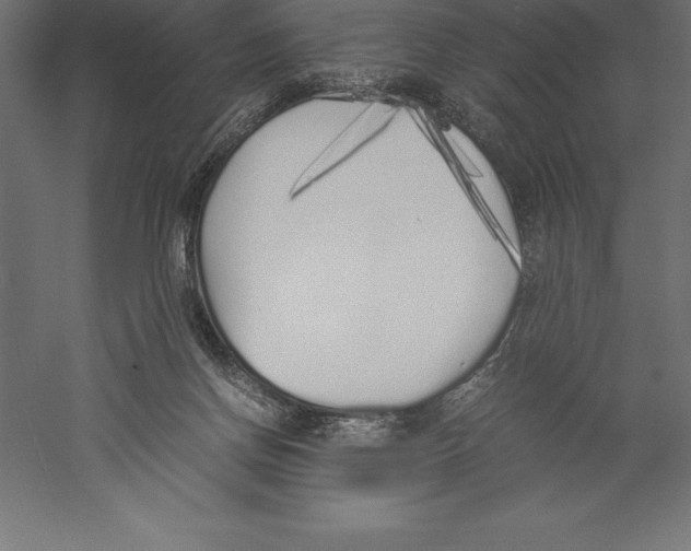 X0000060260166200511241437