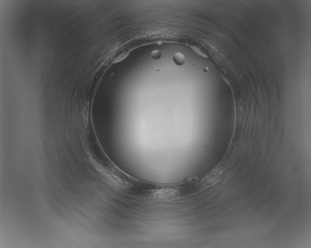 X0000060260168200511241437