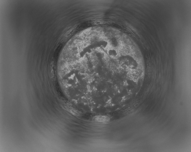 X0000060260169200511241437