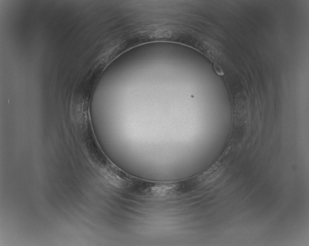 X0000060260172200511241437