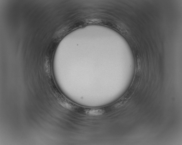 X0000060260173200511241437