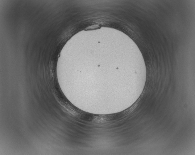 X0000060260174200511241437