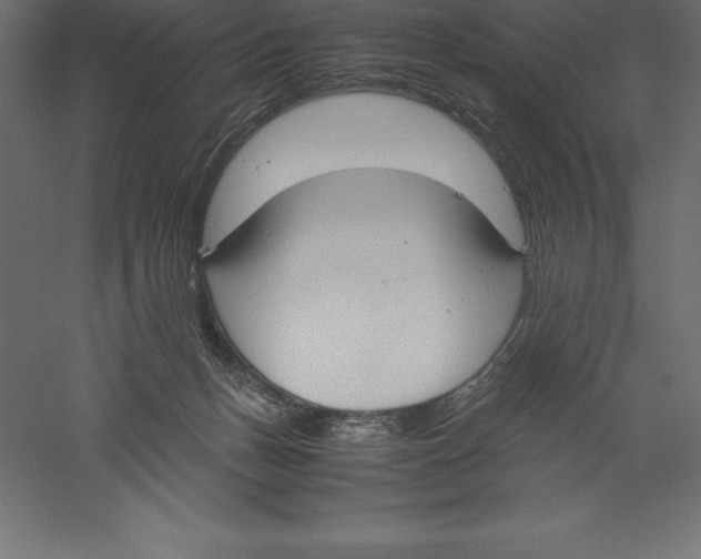 X0000060260175200511241437