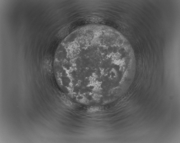 X0000060260177200511241437