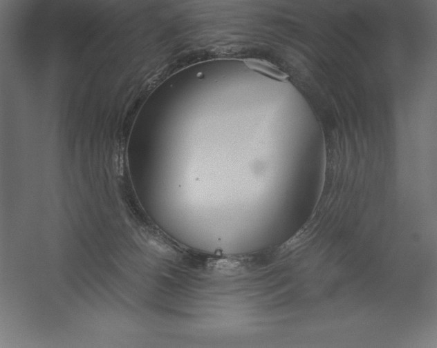 X0000060260180200511241437