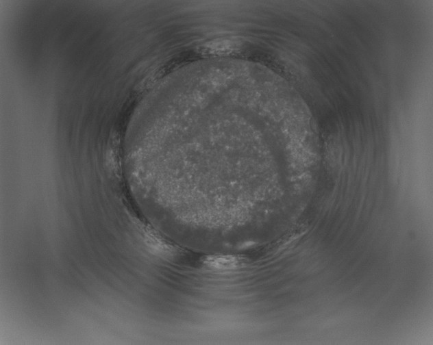 X0000060260181200511241437