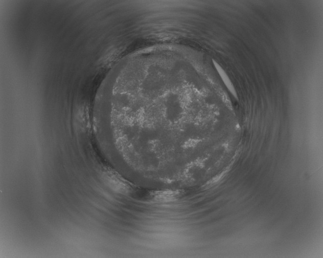 X0000060260182200511241437