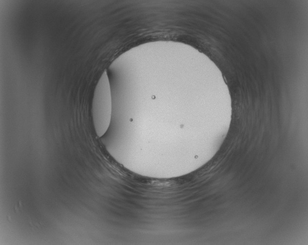 X0000060260185200511241437