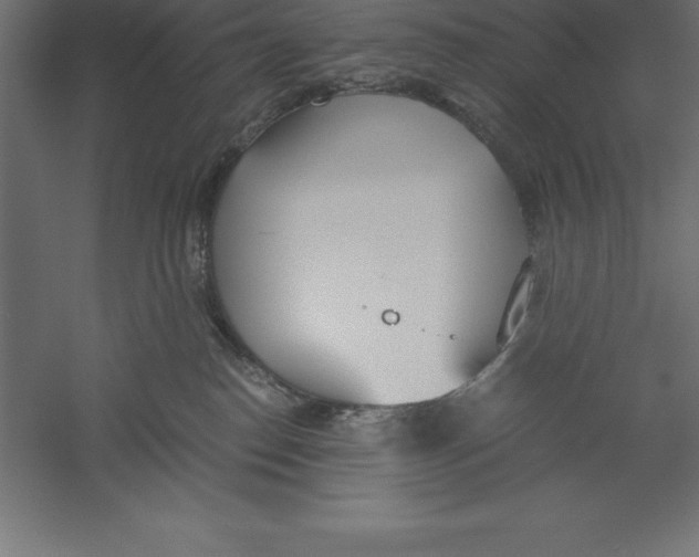 X0000060260186200511241437