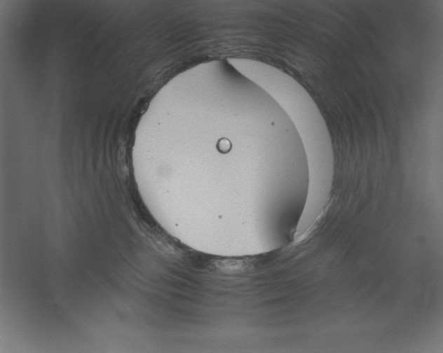 X0000060260187200511241437