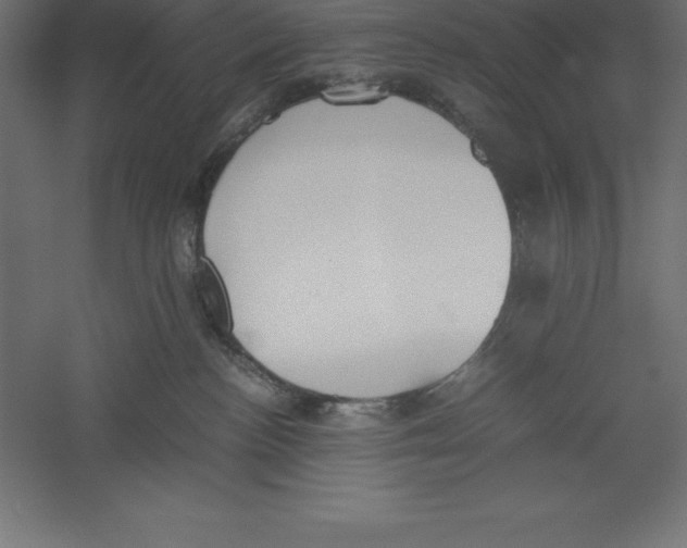 X0000060260188200511241437