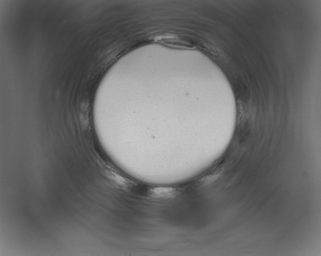 X0000060260189200511241437