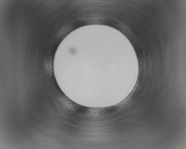 X0000060260190200511241437