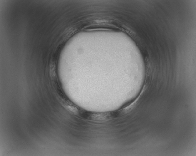 X0000060260191200511241437