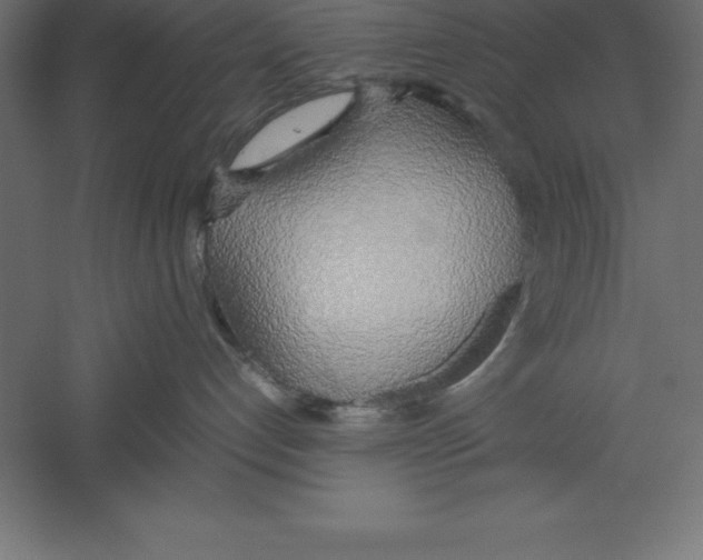 X0000060260192200511241437