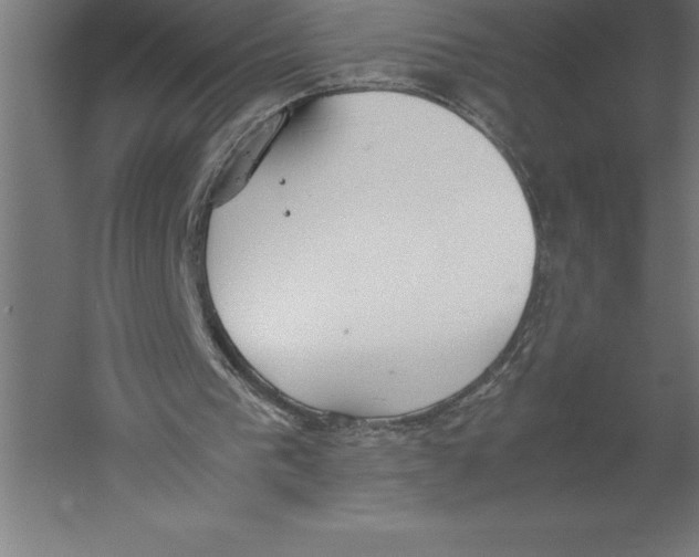 X0000060260193200511241437