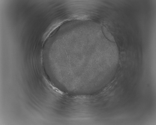 X0000060260194200511241436