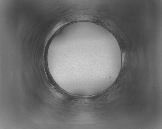 X0000060260195200511241436