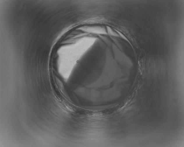 X0000060260196200511241436