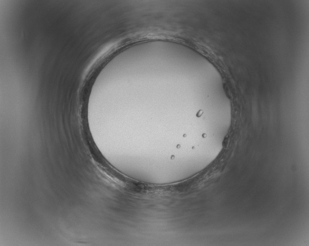 X0000060260197200511241436