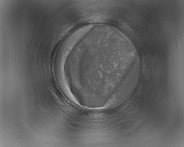 X0000060260202200511241436