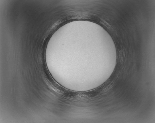 X0000060260203200511241436