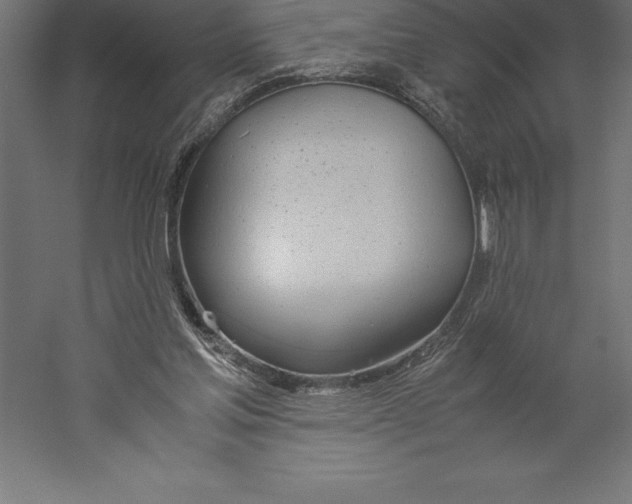 X0000060260205200511241436