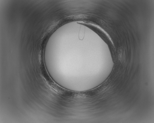 X0000060260206200511241436