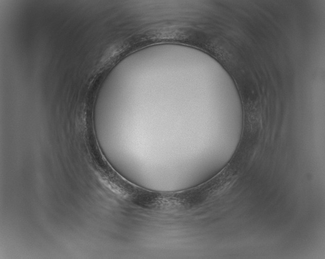 X0000060260207200511241436