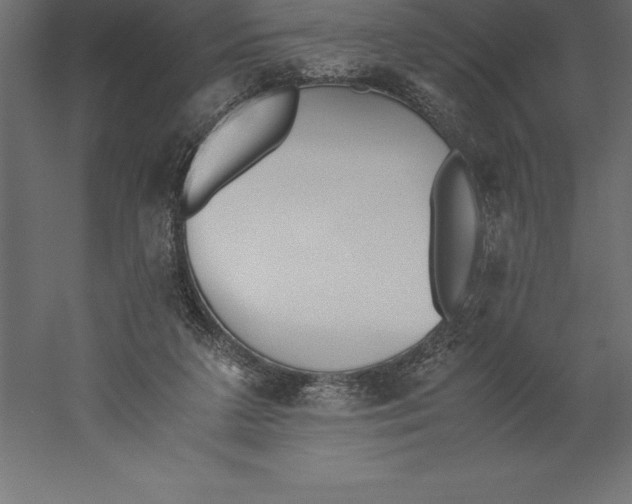 X0000060260211200511241436