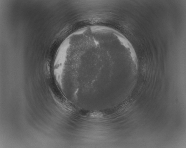 X0000060260214200511241436