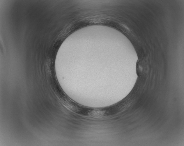 X0000060260217200511241436