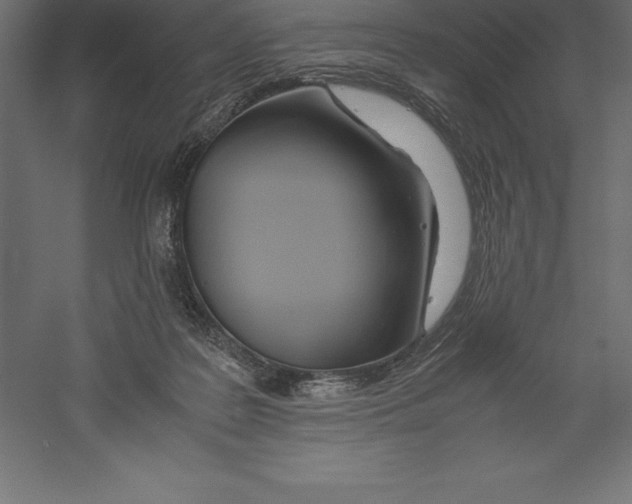 X0000060260219200511241436