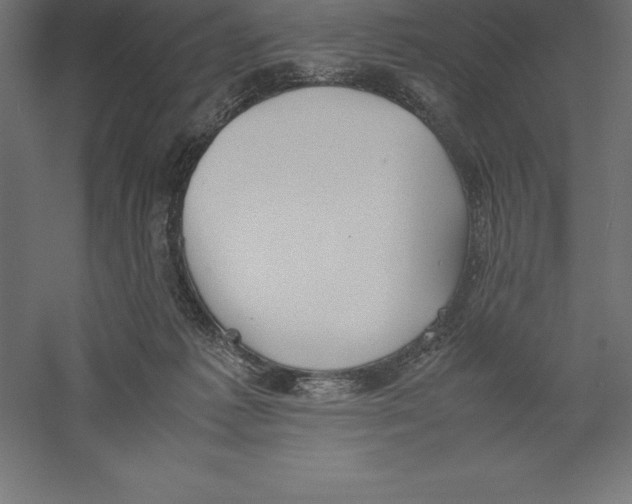 X0000060260221200511241436