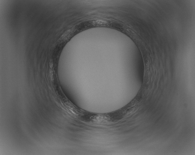 X0000060260223200511241436