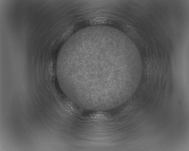 X0000060260224200511241436