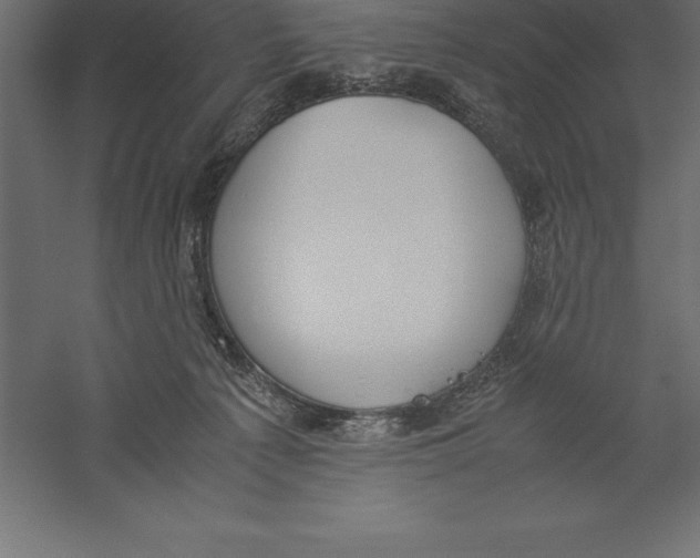 X0000060260225200511241436