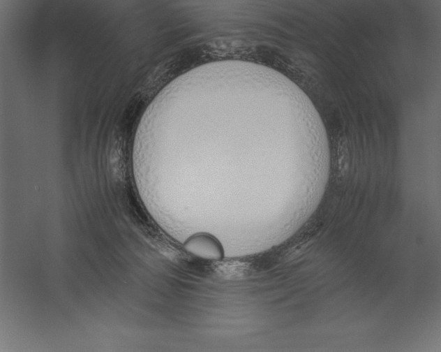 X0000060260226200511241436