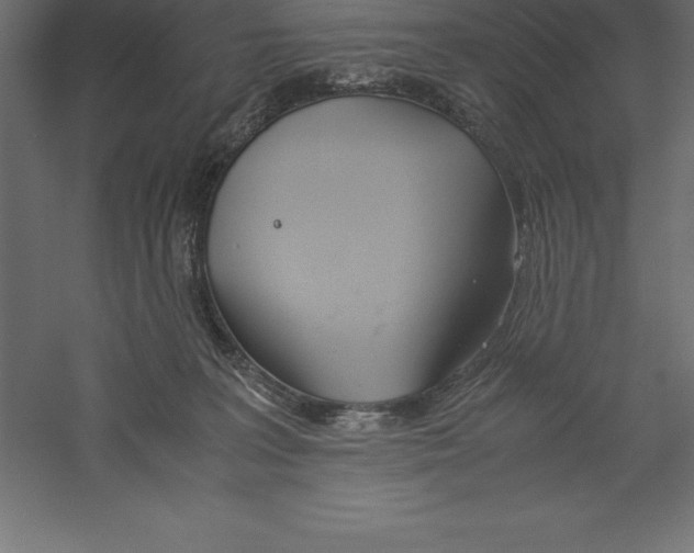 X0000060260227200511241436