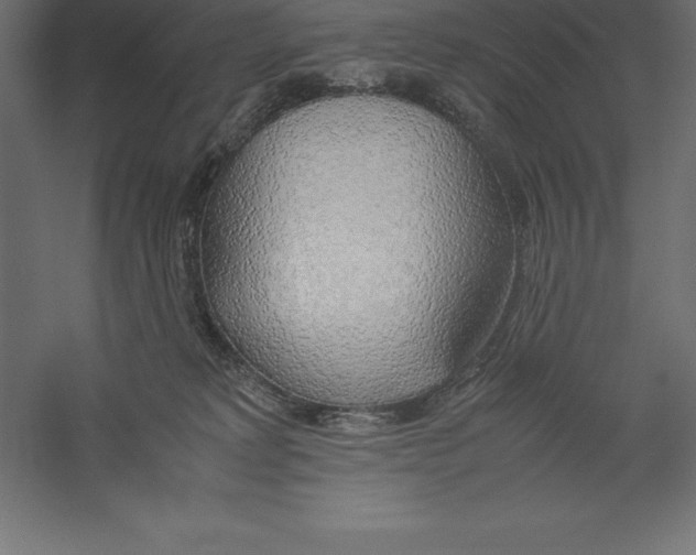 X0000060260229200511241436