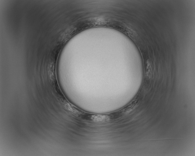 X0000060260230200511241436