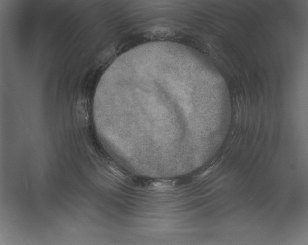 X0000060260232200511241436