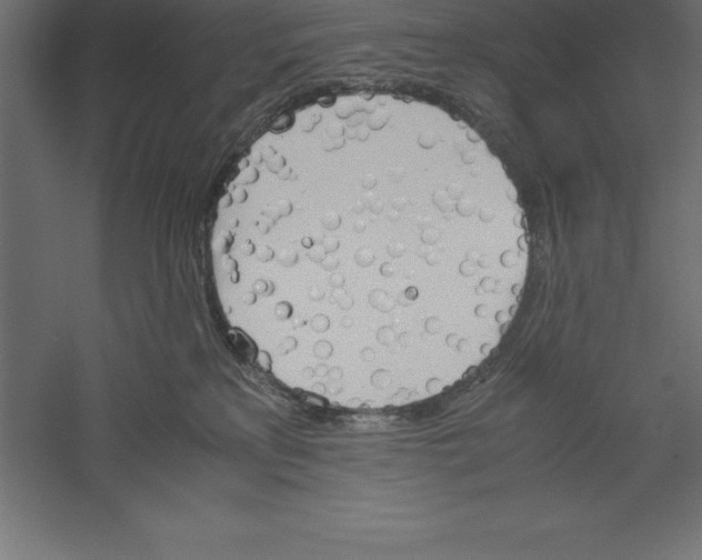 X0000060260233200511241436